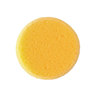 Hydra Synthetic Sponge 2 1/2"