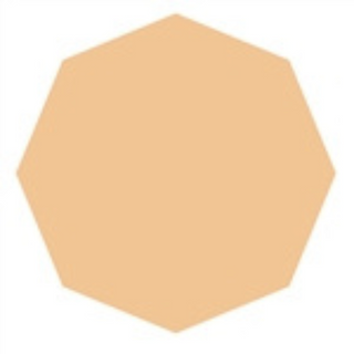 Cedar Heights Corelite octagonal kiln shelf measuring 16x15x5/8 inches, made of durable kiln furniture material.