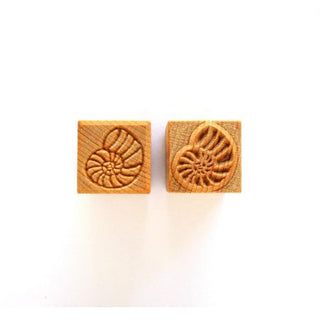 MKM 3CM Medium Square Stamp SSM 121 - Ammonite