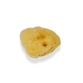 Silk Sponge - Medium