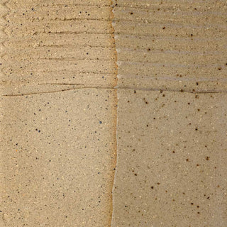 T360M Speckled Stoneware Clay Tile fired to cone 5 in electric Kiln