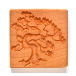 MKM 6CM Stamps4Clay Large Square 54 - Pine Bonsai
