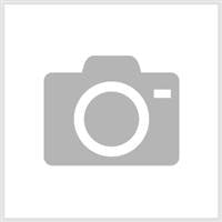 Brent Wheel 220 Euro Voltage add-on - Sheffield Pottery Inc.