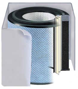 Austin Healthmate Bedroom Machine replacement filter 402
