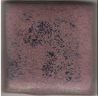 Coyote Glazes Archie's Series For Cone 5/6