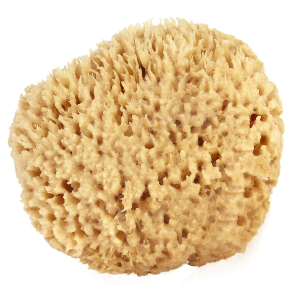 SEAWOOL SPONGE MEDIUM