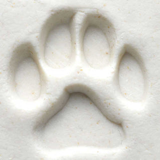 MKM SCM 001 Medium Round Stamp - Dog Paw