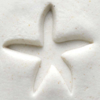 MKM SCM 022 Medium Round Starfish Texture Stamp for pottery and clay art by MKM Pottery Tools.