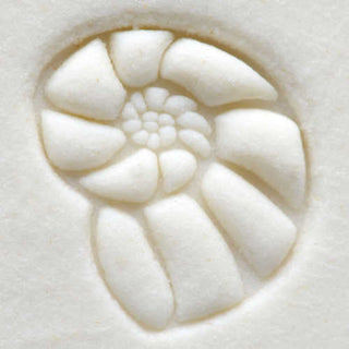 MKM SCS 021 Small round Nautilus texture stamp for pottery, made by MKM Pottery Tools, shown on clay surface.