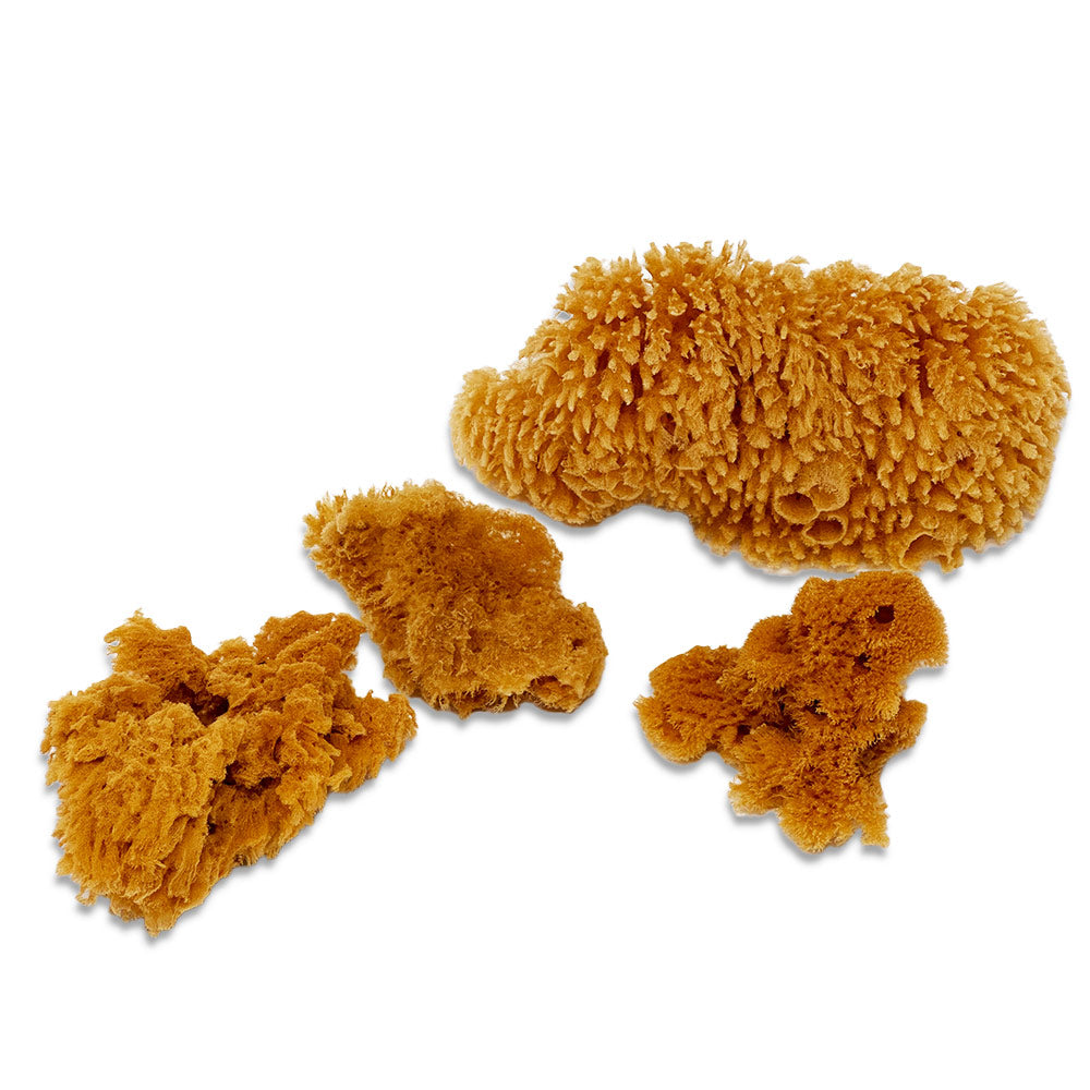 YELLOW SPONGE SET (3)